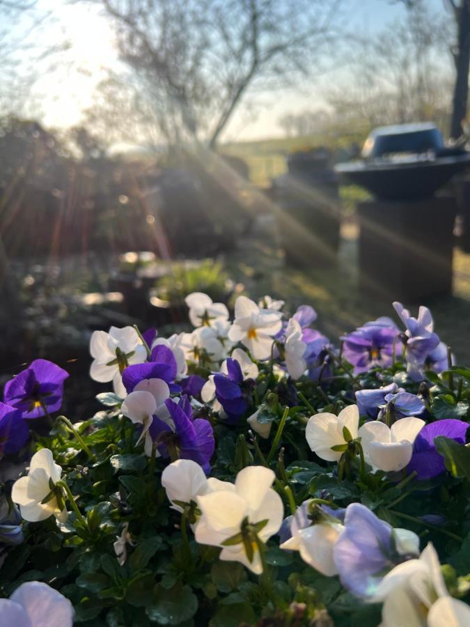 B&B De Pauw - Country Home Cooking Graft Bagian luar foto